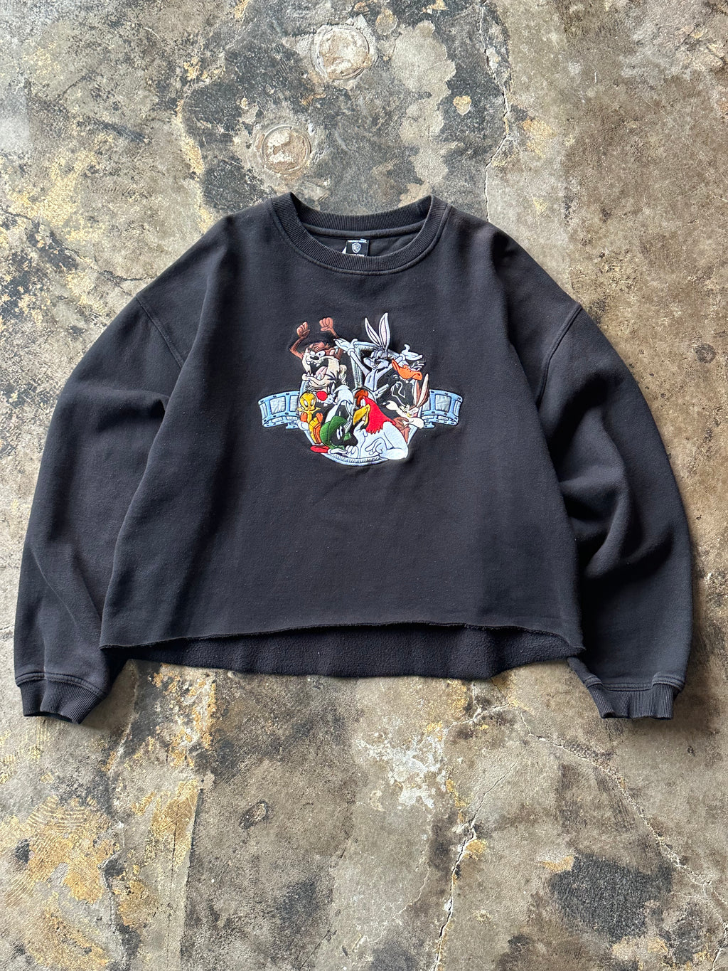 XL - Warner Bros. Looney Tunes Embroidered Crewneck – Cropped